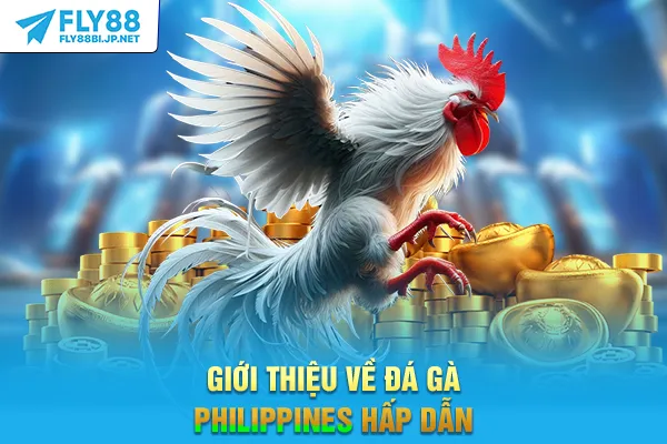 Giới thiệu về đá gà Philippines hấp dẫn