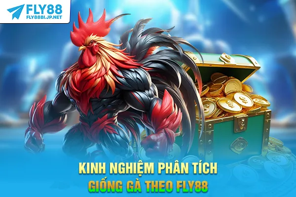 Kinh nghiệm phân tích giống gà theo FLY88