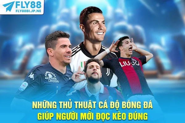 Những Thủ Thuật Cá Độ Bóng Đá Giúp Người Mới Đọc Kèo Đúng